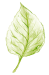 8.png
